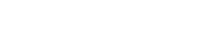 新着情報